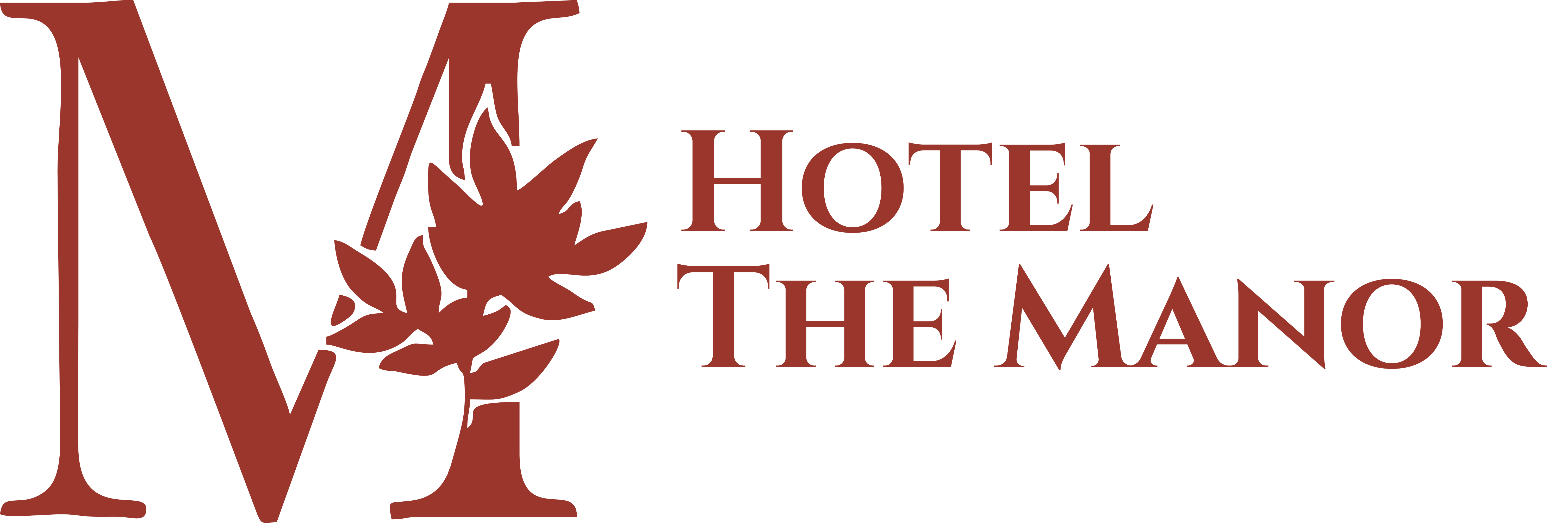 Hotel The Manor Rooms